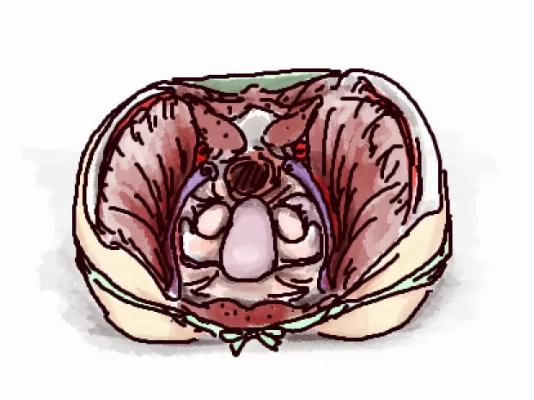 無題メイン画像